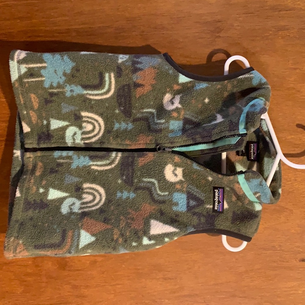 Patagonia Synchilla Fleece Vest